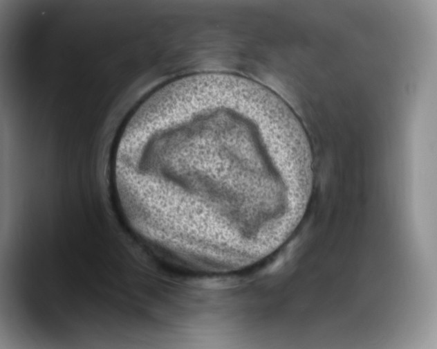 X0000089700103200707201748