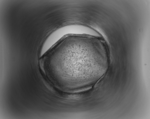 X0000089700105200707201748