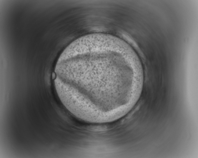 X0000089700106200707201748