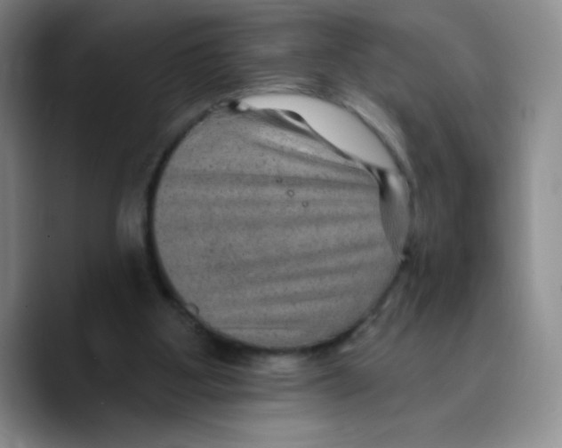 X0000089700107200707201748