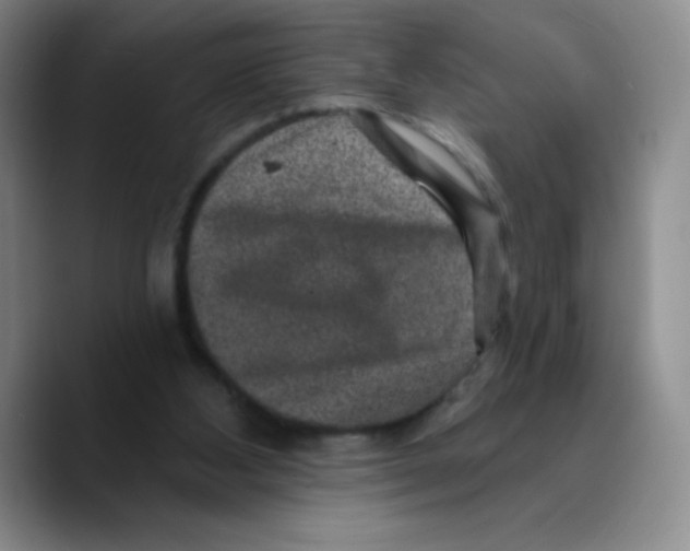 X0000089700108200707201748