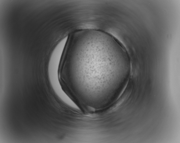 X0000089700109200707201748