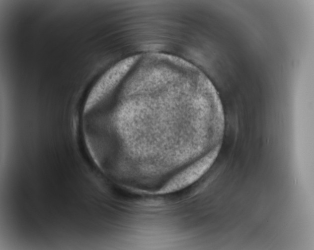 X0000089700110200707201748