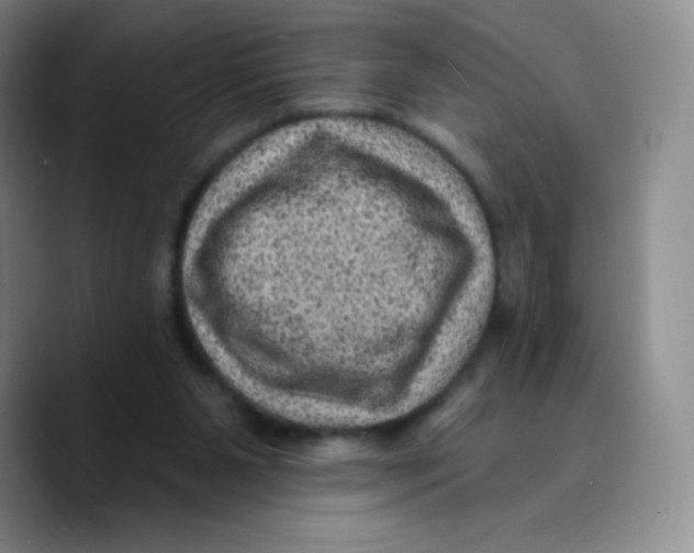 X0000089700111200707201748