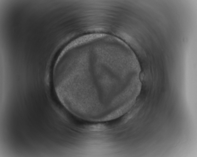 X0000089700112200707201748