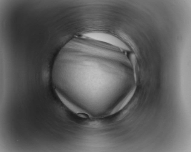 X0000089700113200707201748