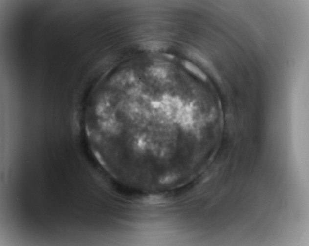 X0000089700114200707201748