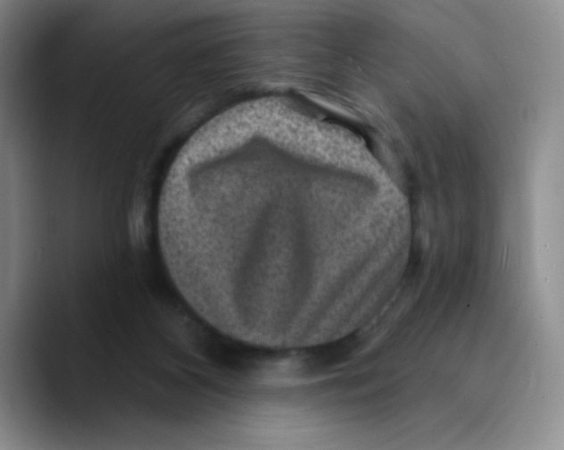 X0000089700116200707201748
