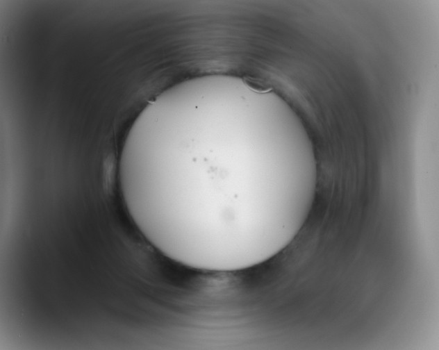 X0000089700118200707201748