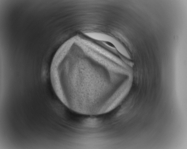 X0000089700119200707201748