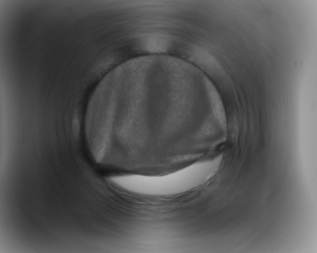 X0000089700120200707201748