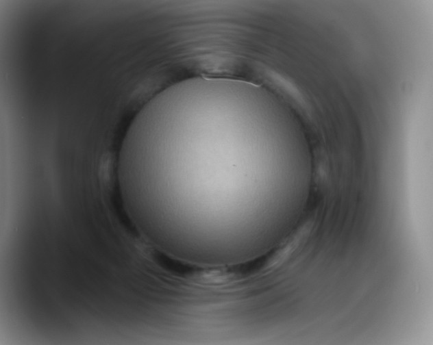 X0000089700121200707201748