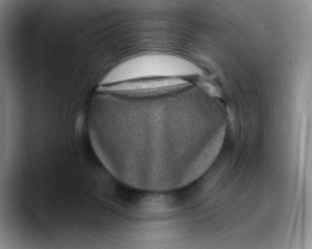 X0000089700123200707201748
