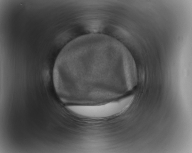 X0000089700128200707201748