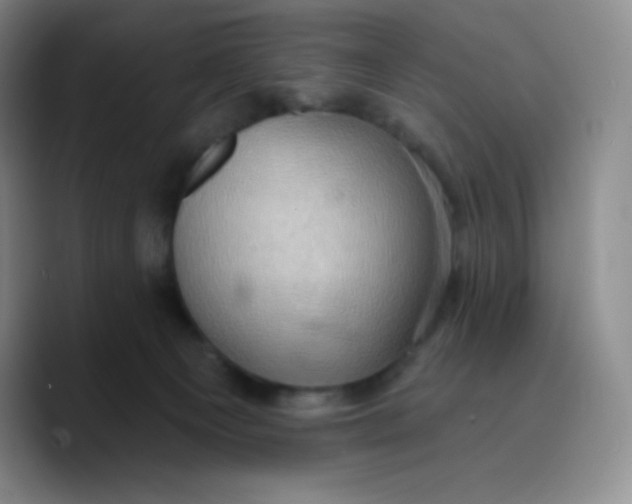 X0000089700129200707201748