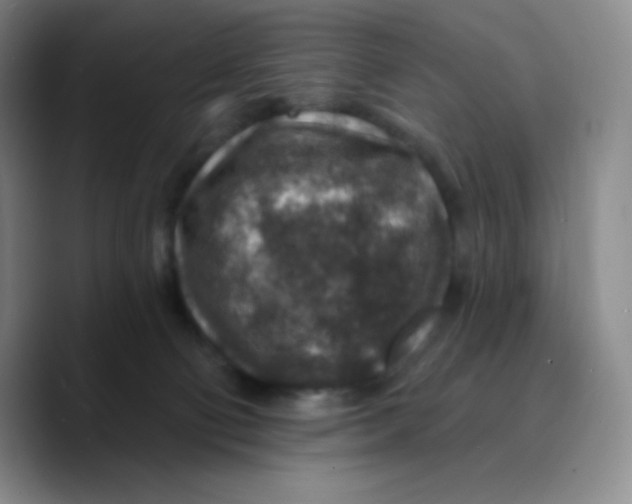 X0000089700130200707201748