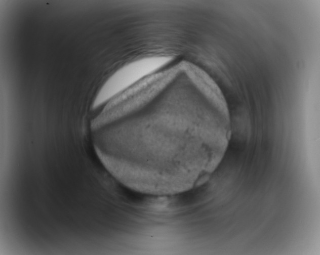 X0000089700131200707201748