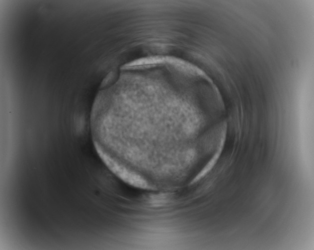 X0000089700134200707201748