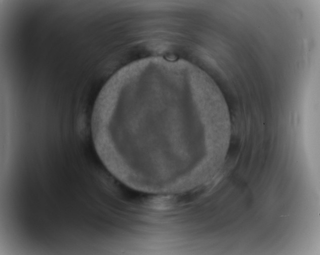 X0000089700136200707201748