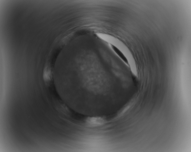 X0000089700137200707201748