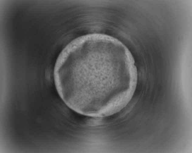 X0000089700138200707201748