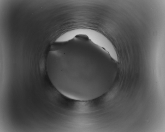 X0000089700139200707201748