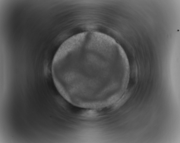X0000089700140200707201748