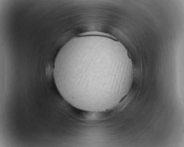 X0000089700142200707201748