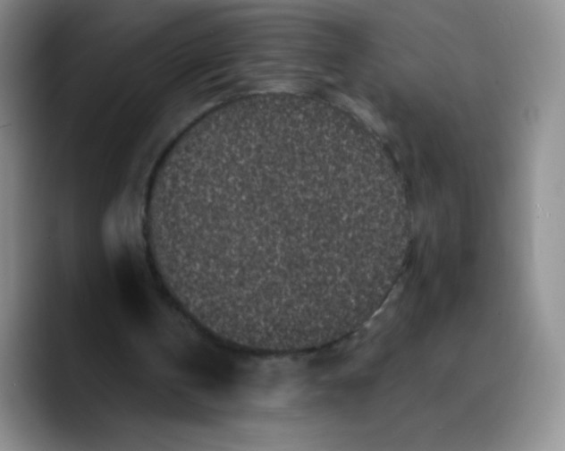 X0000089700146200707201747