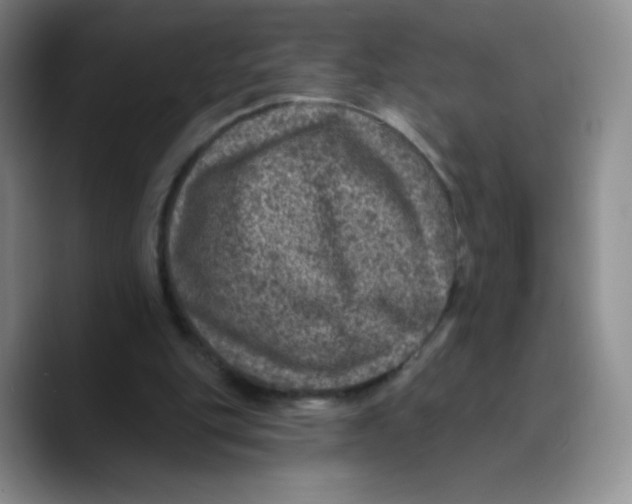 X0000089700151200707201747
