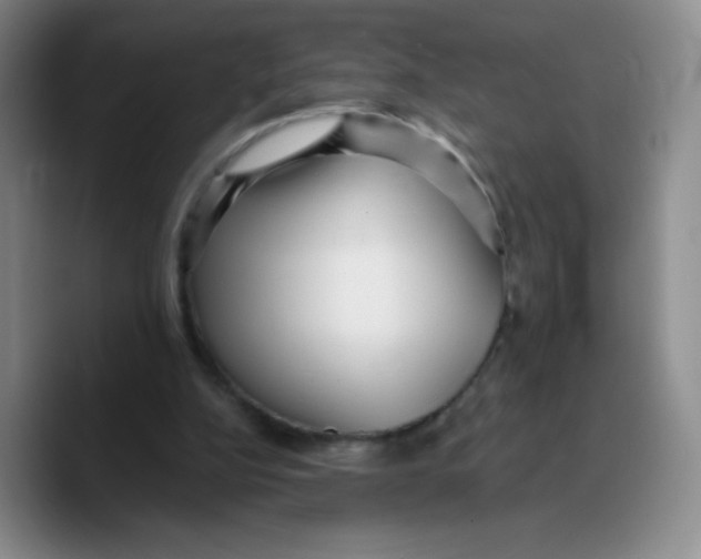 X0000089700152200707201747