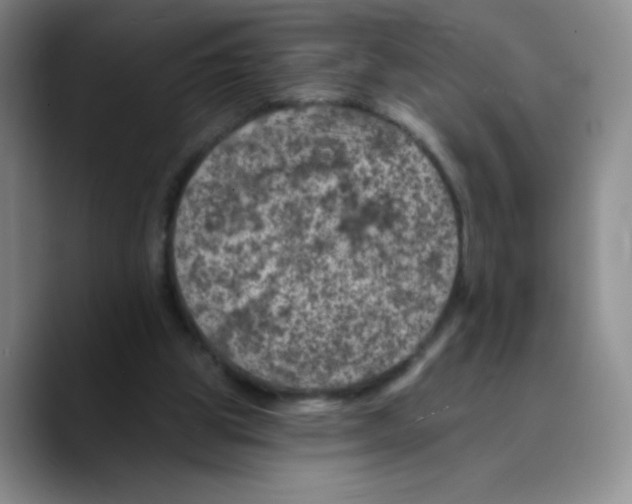 X0000089700153200707201747