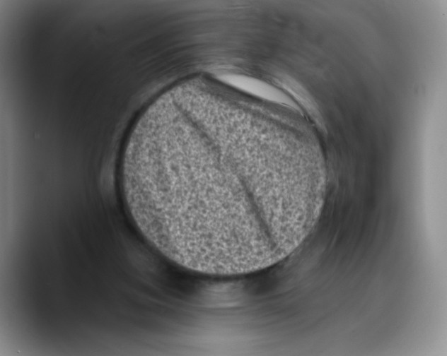 X0000089700155200707201747