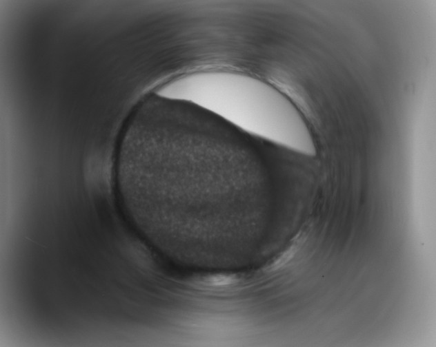 X0000089700156200707201747