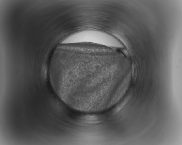 X0000089700157200707201747