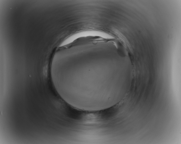 X0000089700163200707201747