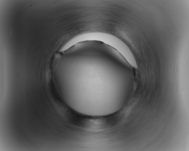 X0000089700164200707201747
