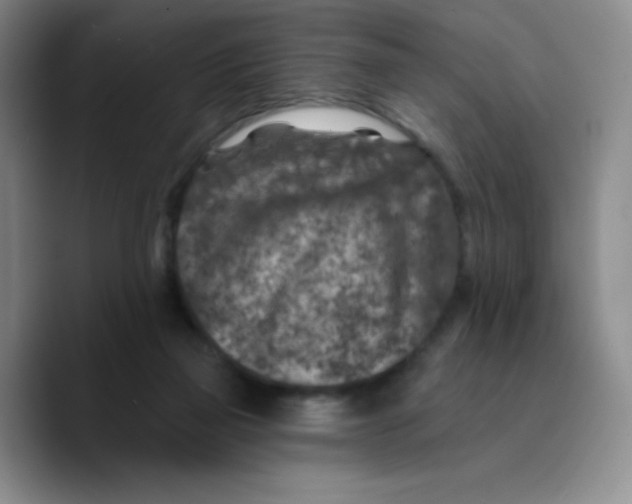 X0000089700165200707201747