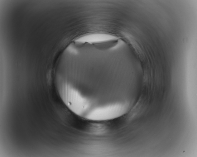 X0000089700167200707201747