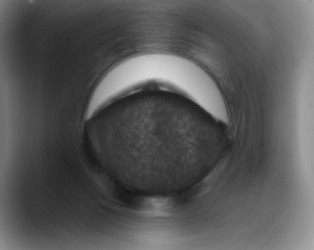 X0000089700168200707201747