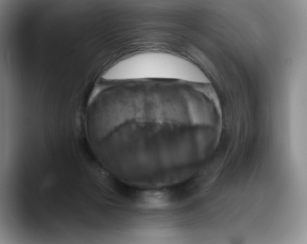X0000089700169200707201747