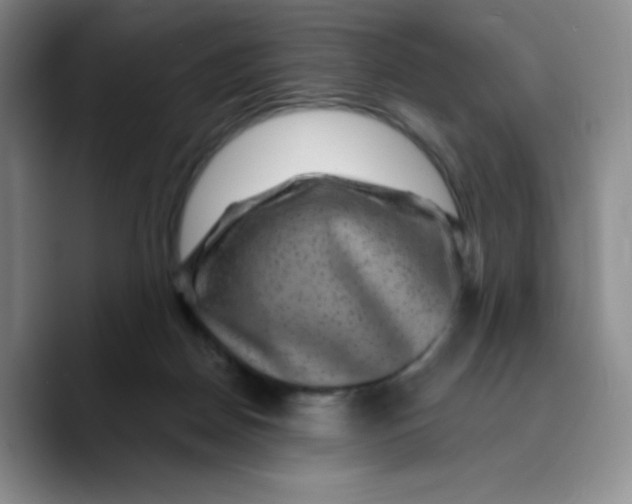 X0000089700170200707201747