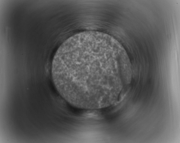 X0000089700175200707201747