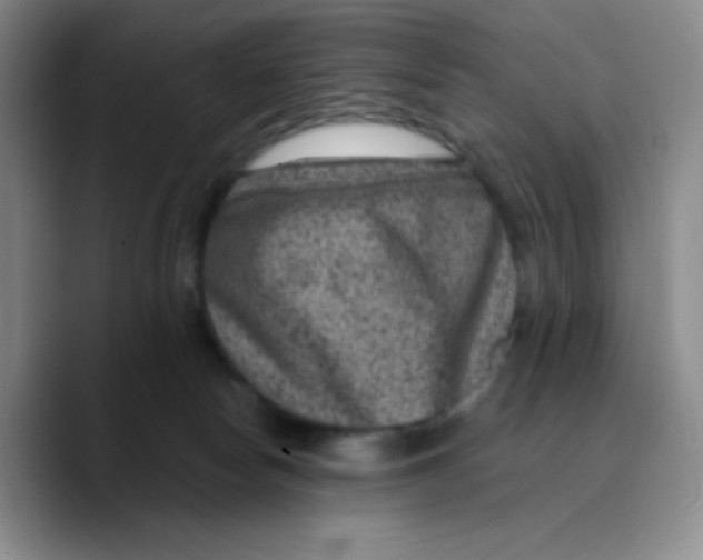 X0000089700178200707201748