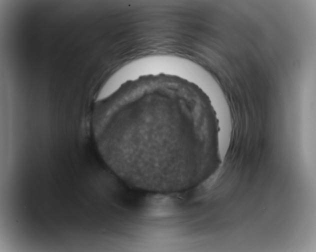 X0000089700180200707201748