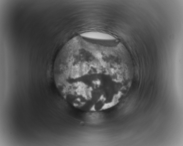 X0000089700181200707201748