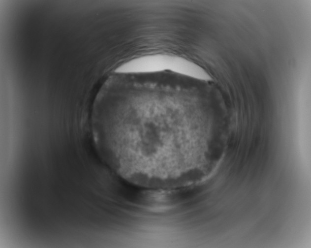 X0000089700182200707201748