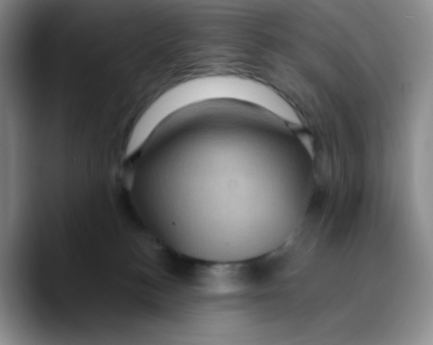 X0000089700184200707201748