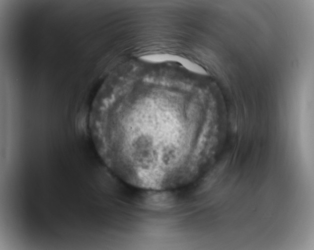 X0000089700185200707201748