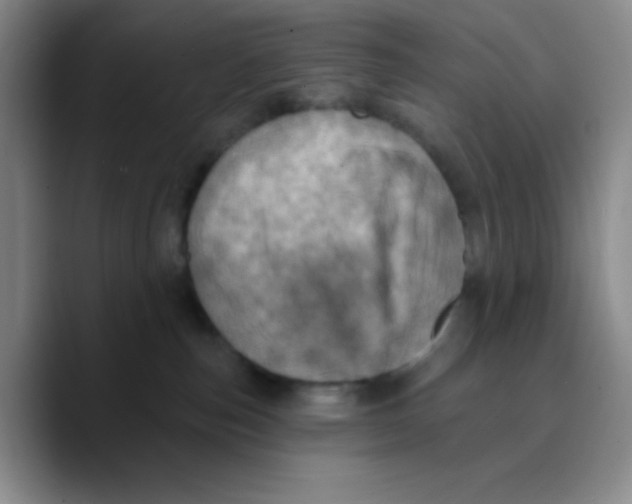 X0000089700187200707201748